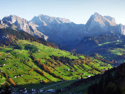 瑞士圣加伦州瑟尔河谷牧场和草地上的秋意