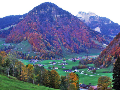 瑞士圣加伦州瑟尔河谷牧场和草地上的秋意