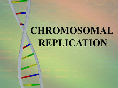 彩色背景上分离的DNA双螺旋染色体复制脚本的三维插图。