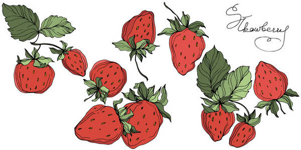 草莓植物的剪影图片-草莓植物的剪影素材-草莓植物的剪影插画-摄图新