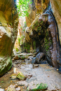 阿瓦卡斯峡谷塞普鲁