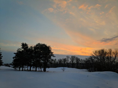 冬天森林的美丽景色松林里的树枝上有许多雪，冬天的日落