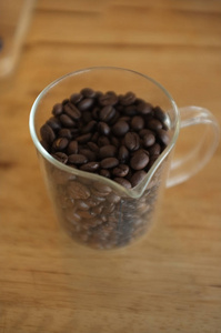 咖啡种子有小的大。