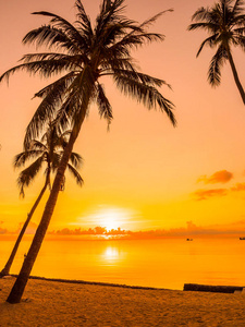 美丽的热带海滩海洋和椰子棕榈树在日出时间旅行和度假