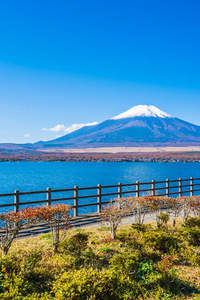 日本雅明子湖周围富士山的美丽景观