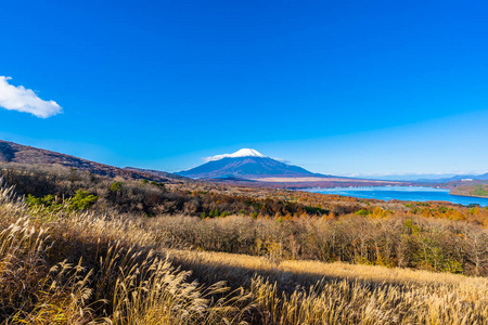 日本秋季稻子或山坂湖富士山的美丽景观