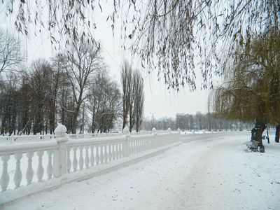 霜冻，冬天在一个下雪的公园里。