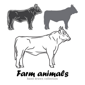 手绘公牛轮廓。 农场动物矢量插图。 线条艺术牛肉象征复古。
