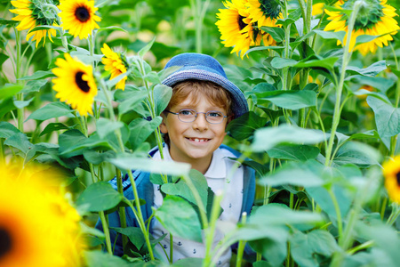 可爱的金发小男孩与眼镜和帽子在夏天向日葵野外户外。可爱的学龄前儿童在温暖的夏日傍晚在日落时乐趣。儿童与自然