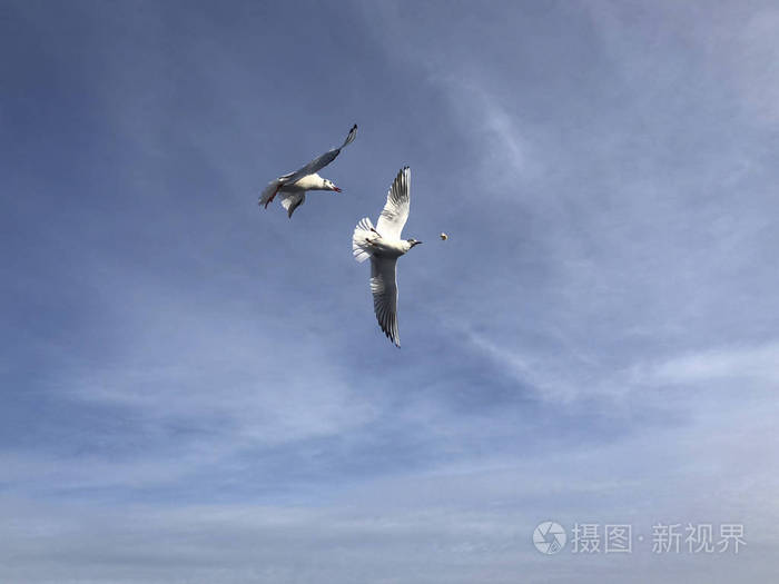 天空之路：魅力无限！