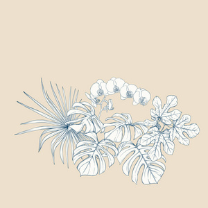 一种热带植物组成，棕榈叶怪物和白色兰花的植物学风格。 图形绘图雕刻风格。 矢量图。 老式蓝色和米色。