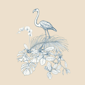 一种热带植物组成，棕榈叶怪物和白色兰花与火烈鸟在植物学风格。 图形绘图雕刻风格。 矢量图。 老式蓝色和米色。