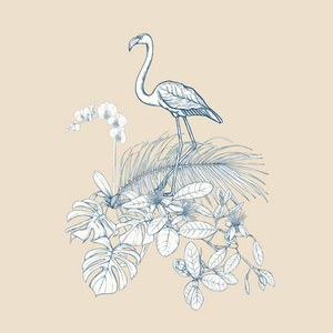 植物学绘图图片