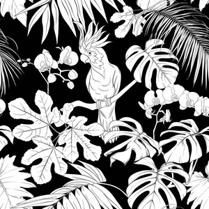 无缝图案背景。 有热带植物和花，有白色的兰花和热带鸟类。 黑白图形。 矢量插图