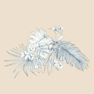 一种热带植物组成，棕榈叶怪物和白色兰花的植物学风格。 图形绘图雕刻风格。 矢量图。 老式蓝色和米色。