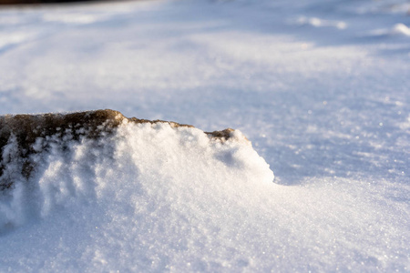 阳光明媚的冬日雪中的自然细节抽象背景