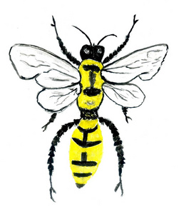 黄蜜蜂手绘水彩插画.照片