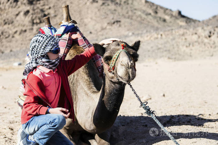 可爱的男孩在非洲沙漠里骑着骆驼旅行