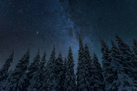 芬兰有星空的冬夜景观