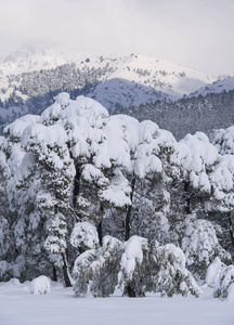 希腊埃维亚岛阳光明媚的一天，白雪覆盖的山野和天空尽收眼底