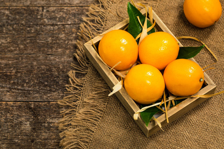 柠檬橘子. 迈耶柠檬杂化柑橘水果原产于中国. 选择性聚焦.照片