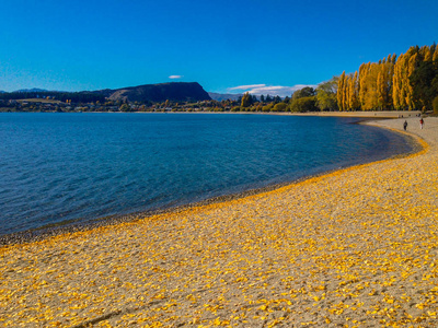 新西兰万纳卡镇万纳卡湖风景