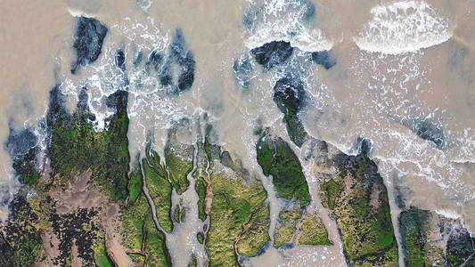 空中俯瞰平静的海浪对绿色海藻覆盖的岩石