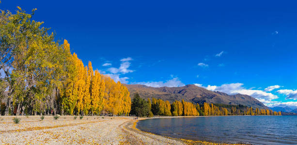 新西兰万纳卡镇万纳卡湖风景图片