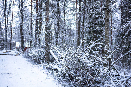 冬天，在瑞典的一个小村庄里下雪