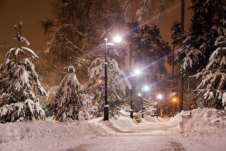 冬季傍晚的雪道和路灯图片