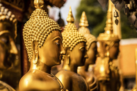 多佛寺一些金佛像的细节泰国