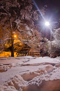 冬季傍晚公园的桥图片