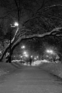 冬天傍晚黑白色的雪道和街灯图片