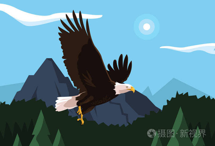 秃鹰鸟与风景飞翔