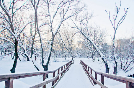 冬天公园里的木桥和雪道