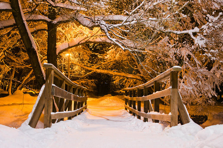 冬季傍晚公园的木桥