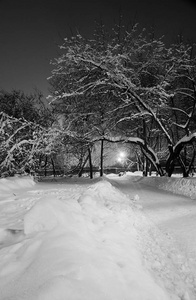 冬天傍晚黑白色的雪道和路灯图片