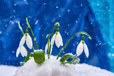 第一个五彩缤纷图片