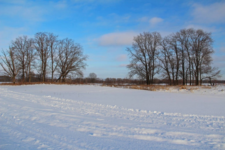 美丽的冬季景观，树木，雪和蓝天。 俄罗斯。