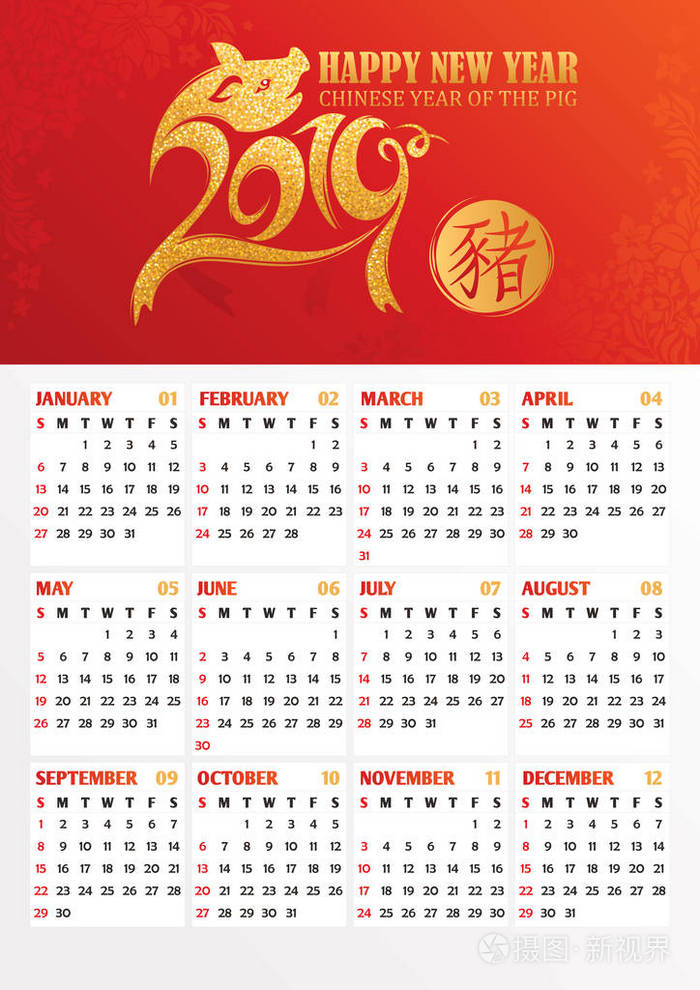 2019年年历，有中国猪年的象征。 中文象形文字翻译成英文猪。 矢量图。