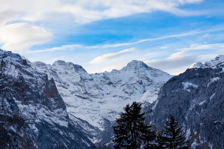 瑞士丛林的冬天和雪