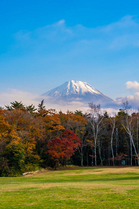 日本大林秋季湖泊四周枫叶树的富士山美景