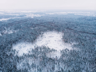 空中无人机景观的草地在冬天森林, 美丽的雪自然景观背景