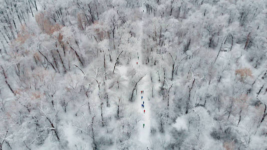 冬季在公园跑步的体育比赛。 运动员沿着跑道在白雪覆盖的树上奔跑。 空中摄影