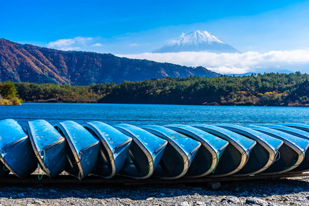 秋季环湖枫叶树的富士山美景