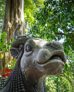 猴子在神圣的猴子森林乌布巴利印度尼西亚的牛像上