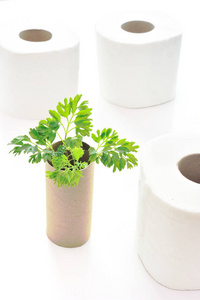 空卷卫生纸，里面的植物作为幼苗树。 循环生态与保守观念