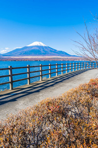 日本子湖周围富士山的美丽景观