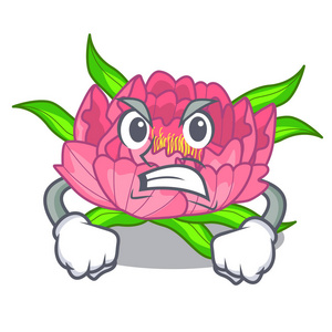 植物学字符图片