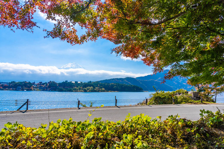 秋季环湖枫叶树的富士山美景